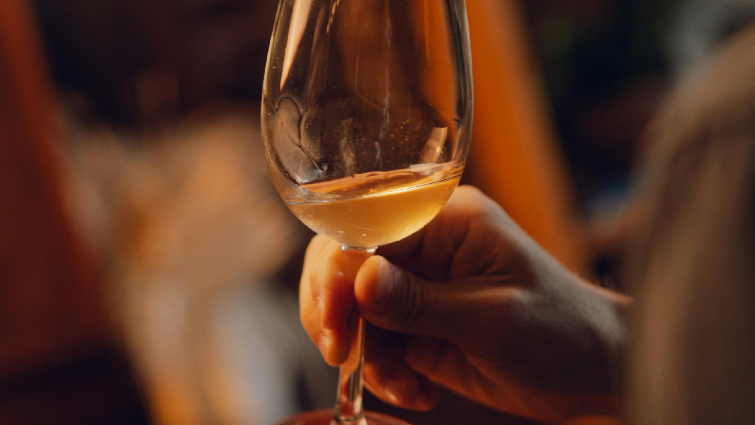 michael-tucker-I-kdwKgM8Ng-unsplash